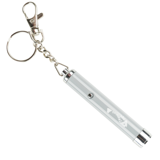 Trixie LED Pointer Catch the Light - 1 kpl